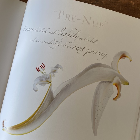 Shoe Fleur a Footwear Fantasy Book by Michel Tcherebkoff - Picture 12 of 16